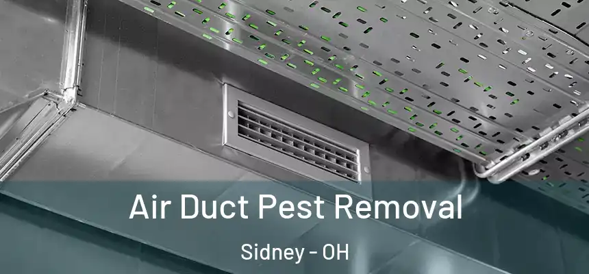  Air Duct Pest Removal Sidney - OH