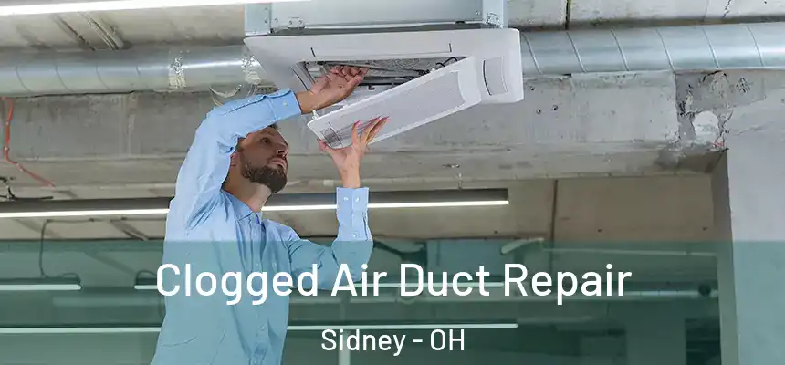  Clogged Air Duct Repair Sidney - OH