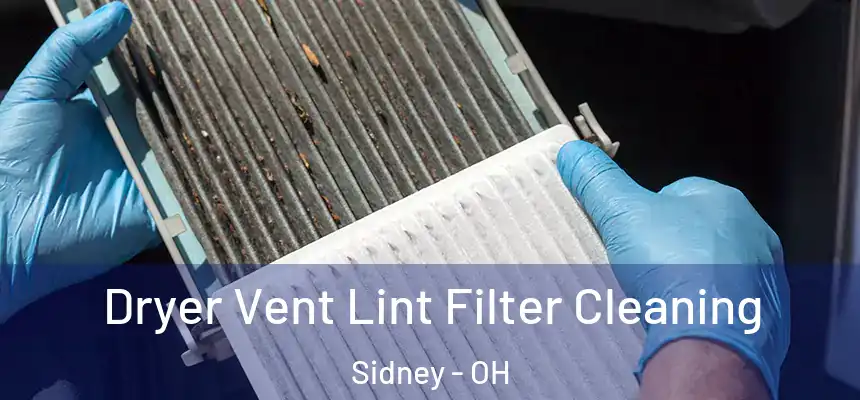  Dryer Vent Lint Filter Cleaning Sidney - OH