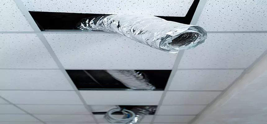 Affordable HVAC Sanitizing After Pest Removal in Sidney