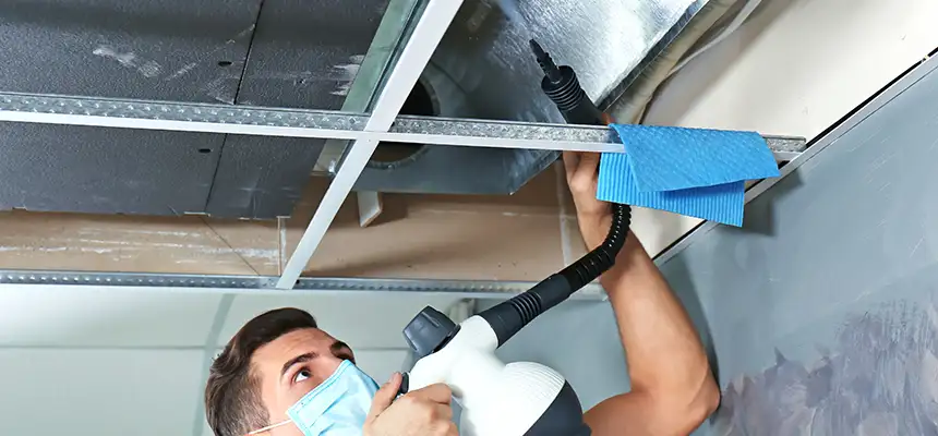 Our Air Duct Rodent Removal Services in Sidney, OH