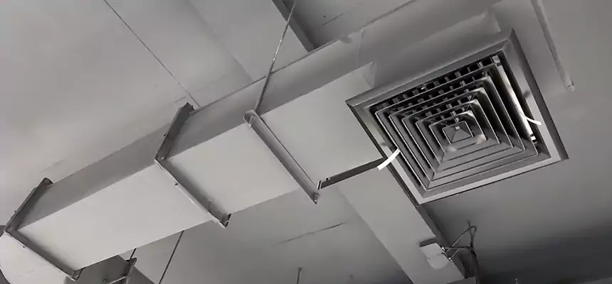 Our Pest Removal From Ducts Services in Sidney, OH