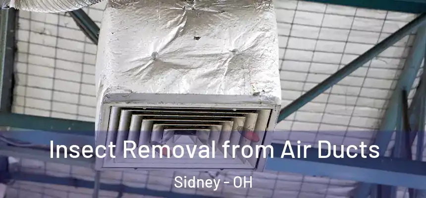  Insect Removal from Air Ducts Sidney - OH