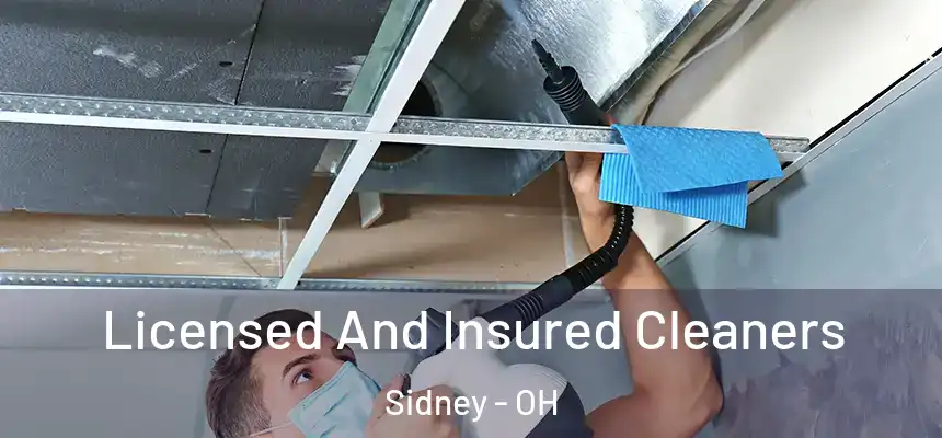  Licensed And Insured Cleaners Sidney - OH