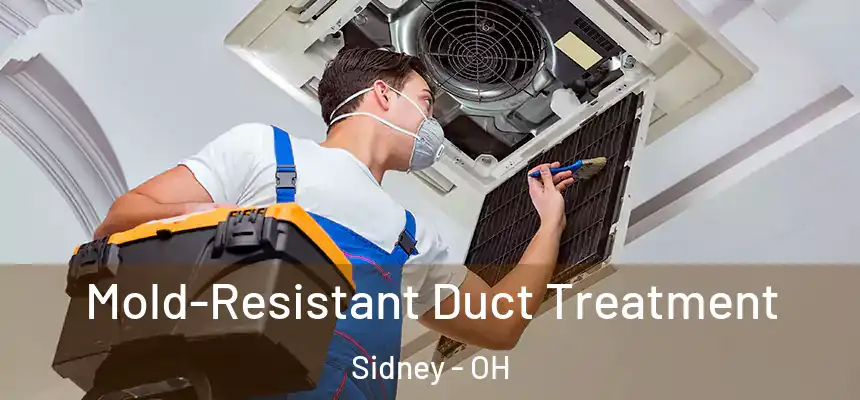  Mold-Resistant Duct Treatment Sidney - OH