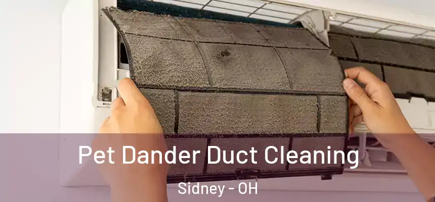  Pet Dander Duct Cleaning Sidney - OH