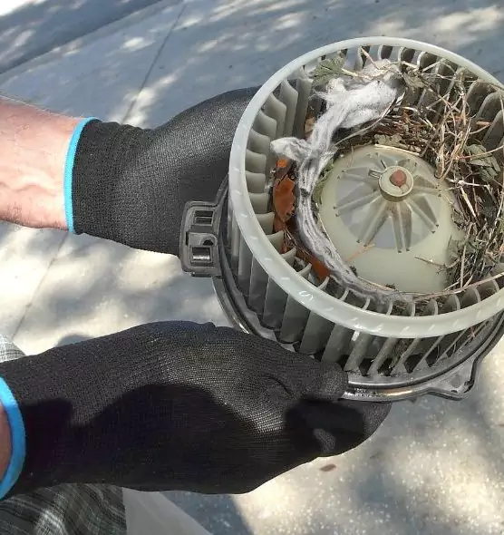 About Air Duct Rat Removal in Sidney, OH