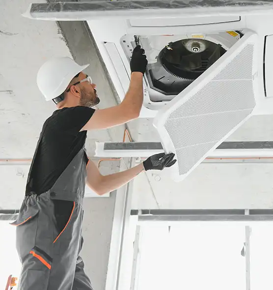 About Air Duct Rodent Removal in Sidney, OH