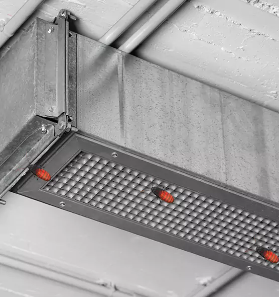 Affordable Insect Removal from Air Ducts in Sidney, OH
