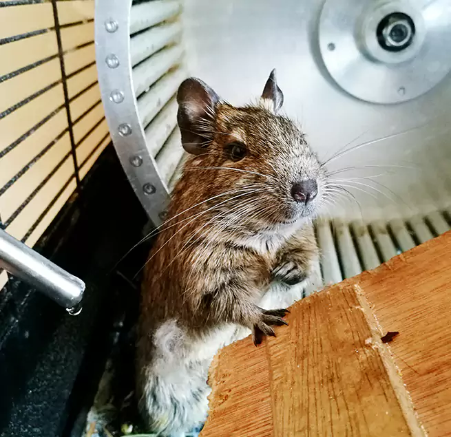 Why Homeowners & Businesses Trust Us Sidney, OH